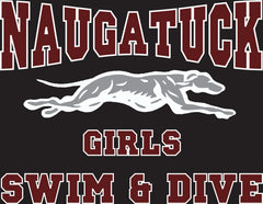 Naugatuck Girls Swim and Dive team apparel fundraiser
