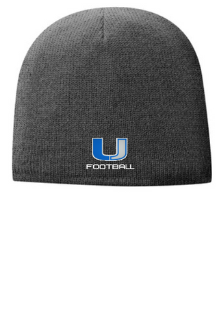 ATI Lined SKULL Beanie