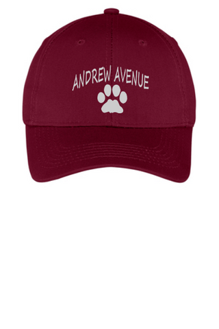 Andrew Avenue Youth and Adult adjustable twill cap