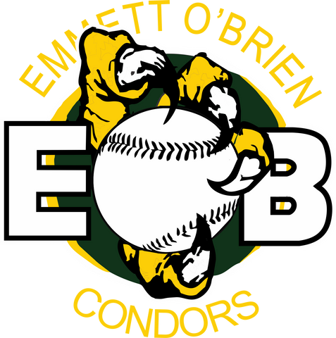 Emmett O'Brien Embroidered New Era Batting Jacket