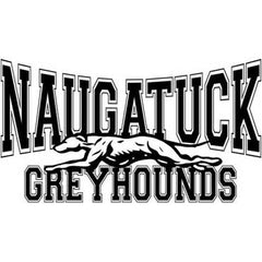 Naugatuck Connecticut Greyhounds
