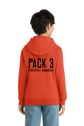 PACK 3 YOUTH AND ADULT COTTON BLEND HOODED SWEATSHIRT